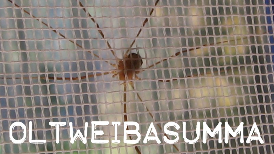 Oltweibasumma