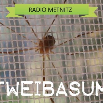 Bild zu:Oltweibasumma