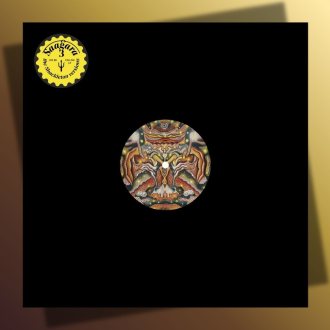 Bild zu:Saagara – 3 (The Shackleton Versions)