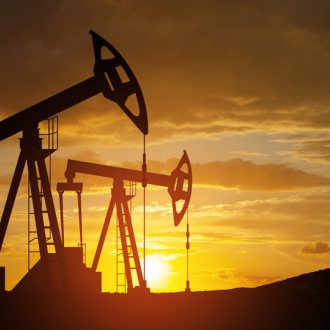 (c) Hamara - Shutterstock