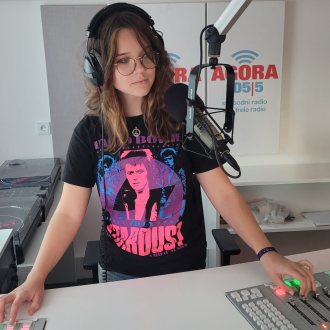 Bild zu:reMEMBERs-Woche am BRG St. Martin