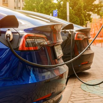 (c) Gudman - Shutterstock