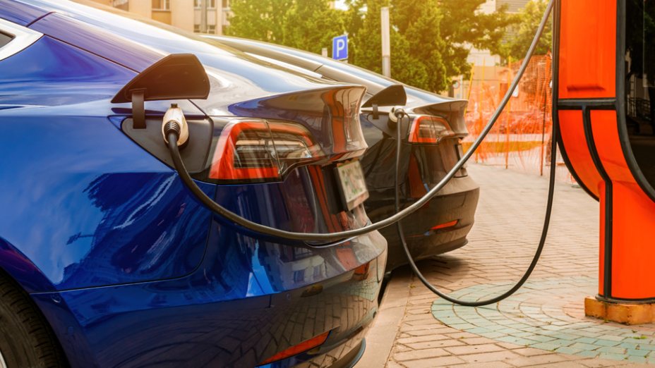 (c) Gudman - Shutterstock