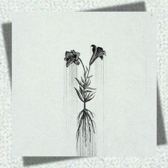 Bild zu:Penelope Trappes – Æternum 