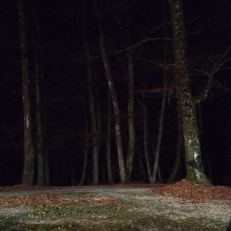 Bild zu:Še par potnih | Noch ein paar für den Weg #3