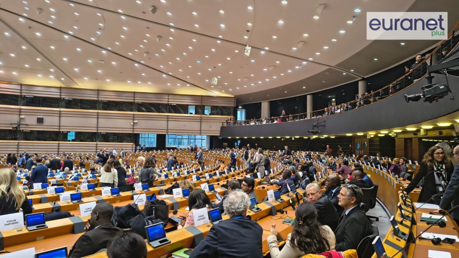 (c) Neža Katzmann Pavlovčič